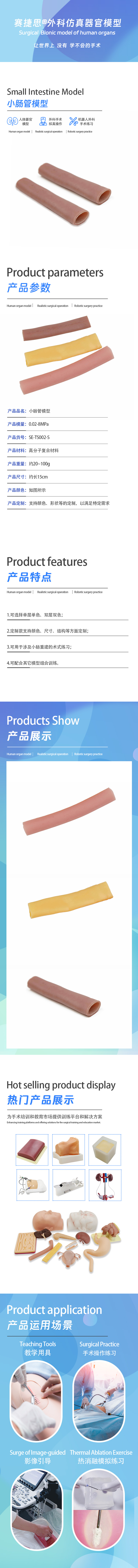 小肠管模型.jpg