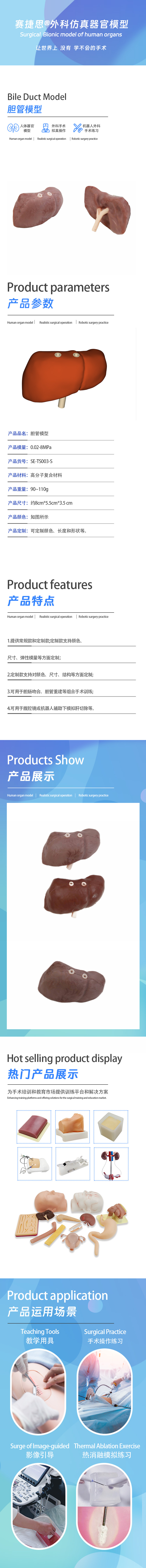 胆管模型.jpg