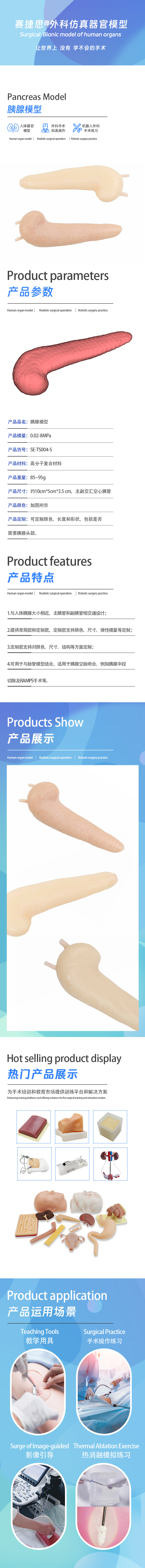 胰腺模型.jpg