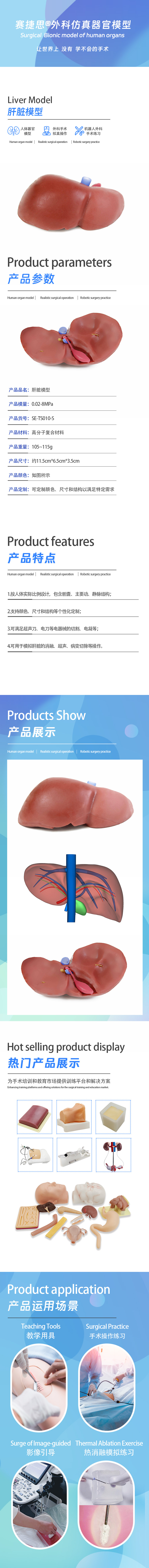 肝脏模型.jpg