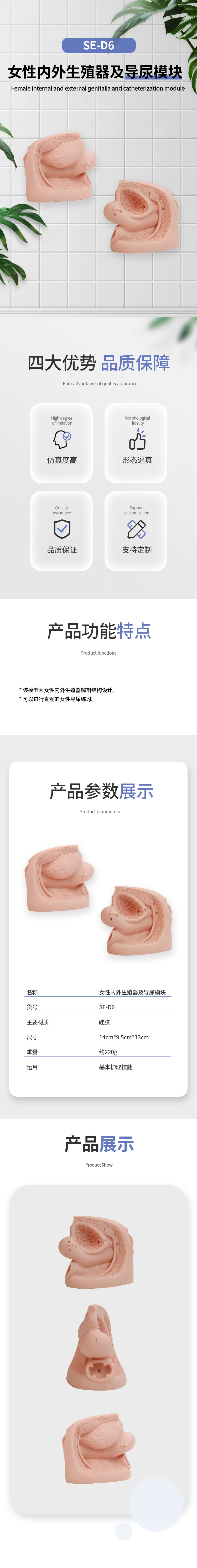 SE-D6-女性导尿-中.jpg
