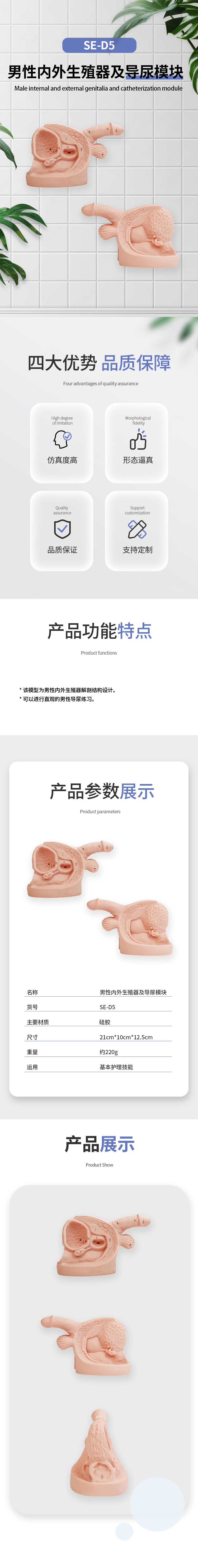 SE-D5-男性导尿-中.jpg