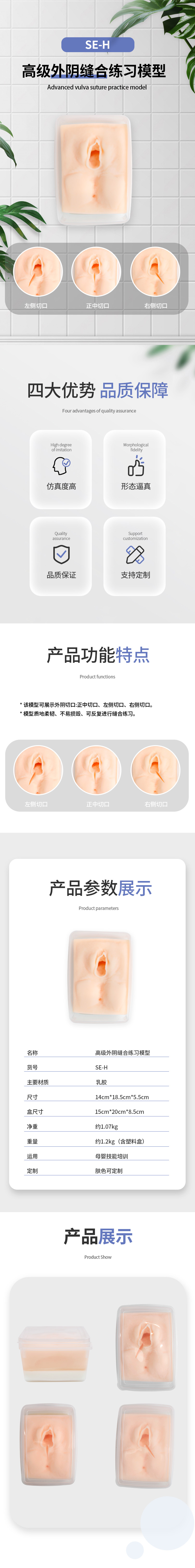 SE-H-外阴缝合-中.jpg
