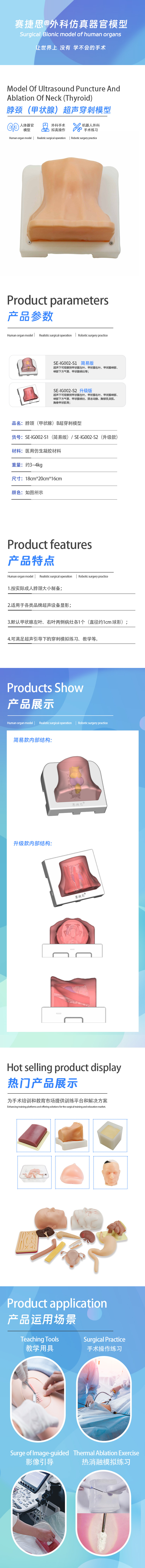 脖颈（甲状腺）B超穿刺消融模型.jpg