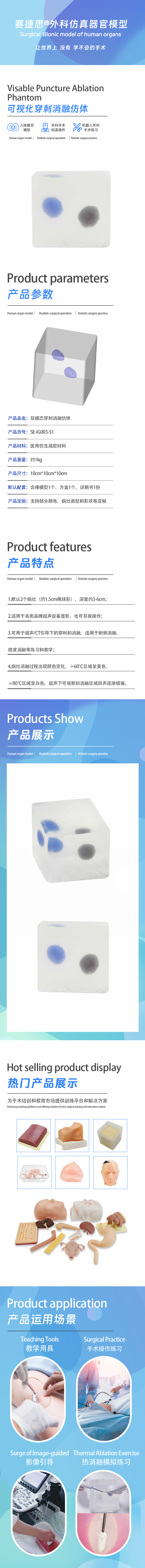 可视化穿刺消融仿体.jpg
