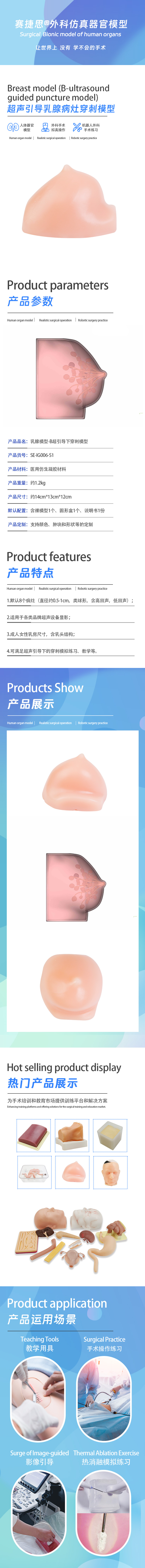 超声引导乳腺病灶穿刺模型.jpg