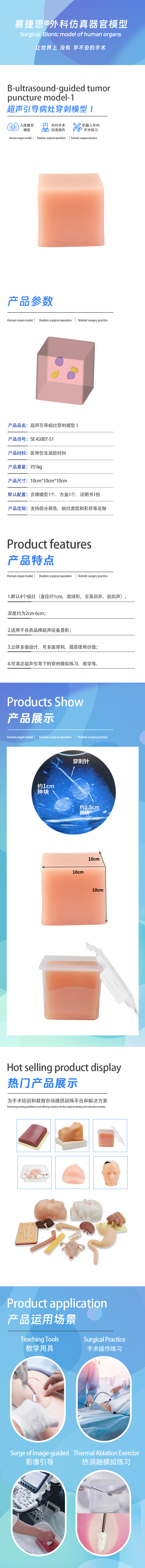超声引导病灶穿刺模型Ⅰ.jpg